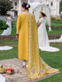 PN-11 | 3 PC Khaddar
